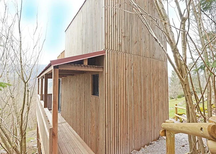 Pop's Colors - Dans Les Vosges